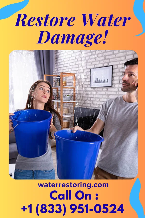 water restoration Stellar Disaster Recovery Force Snow Lake Shores